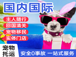张家界荷花机场物流国际宠物托运 【国